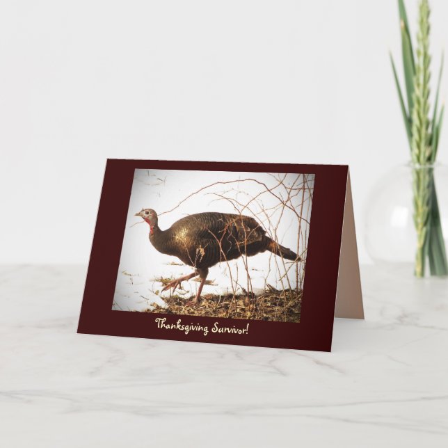 Cartes Pour Fêtes Annuelles Turquie sauvage Végétarien (Devant)