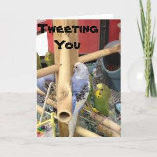 CARTES POUR FÊTES ANNUELLES "TWEETER" POUR DIRE AVOIR UN HEUREUX PÂQUES