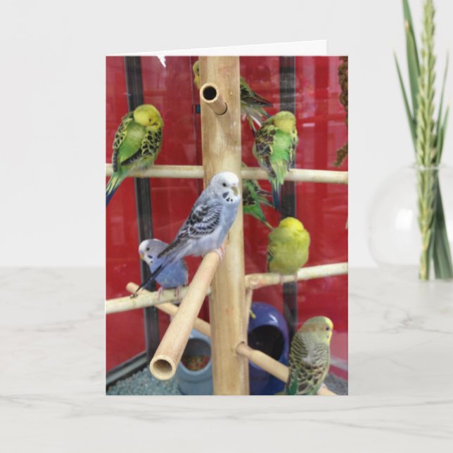 CARTES POUR FÊTES ANNUELLES "TWEETING" HEUREUX PÂQUES POUR "VOUS" (Devant)