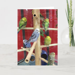 CARTES POUR FÊTES ANNUELLES "TWEETING" HEUREUX PÂQUES POUR "VOUS"