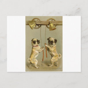 Cartes Pour Fêtes Annuelles Two pug dogs ringing the Christmas bells