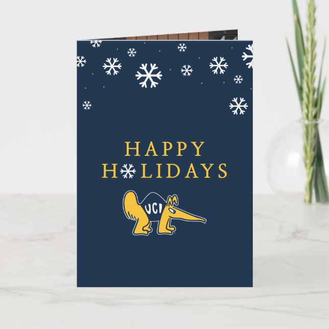 Cartes Pour Fêtes Annuelles UC Irvine | Anteaters UCI (Devant)