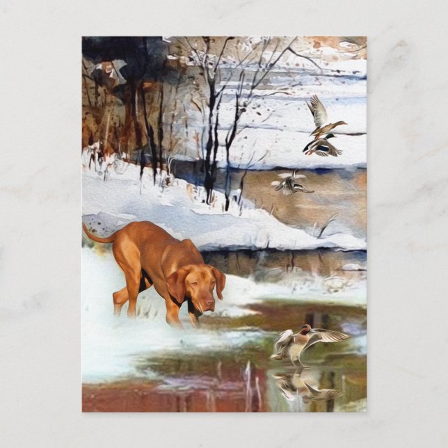 Cartes Pour Fêtes Annuelles Un aristocrate polyvalent dans la Vizsla hongroise (Devant)