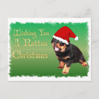Cartes Pour Fêtes Annuelles Un autre Noël pourri