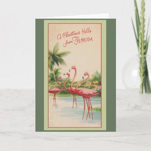 Cartes Pour Fêtes Annuelles Un bonjour de Noël en Floride !