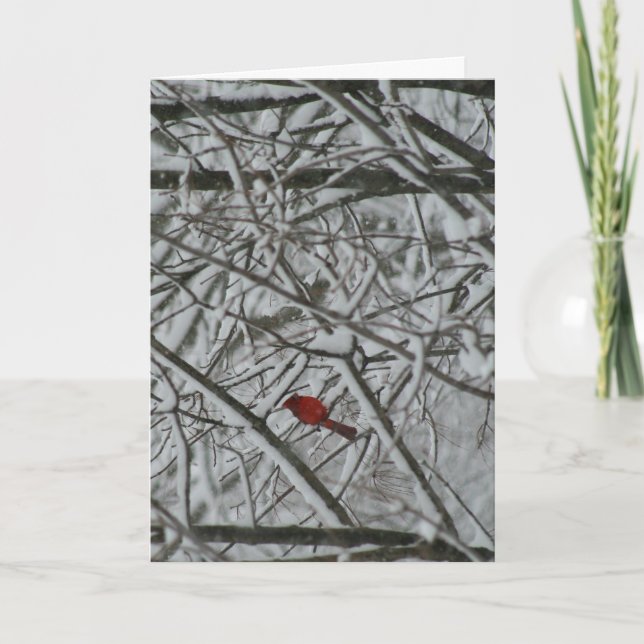 Cartes Pour Fêtes Annuelles Un cardinal dans les arbres enneigés (Devant)