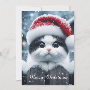 Cartes Pour Fêtes Annuelles Un chat blanc avec un chapeau de Père Noël