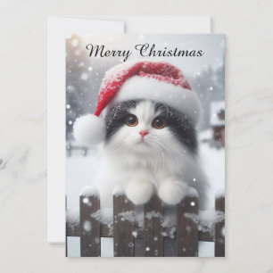 Cartes Pour Fêtes Annuelles Un chat blanc avec un chapeau de Père Noël