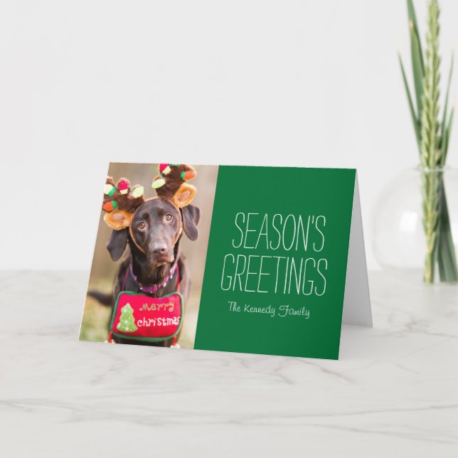 Cartes Pour Fêtes Annuelles Un chien de labrador retriever de chocolat (Devant)
