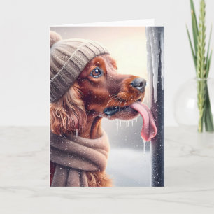 Cartes Pour Fêtes Annuelles Un Chien Irlandais Qui Lève Un Polonais Froissé