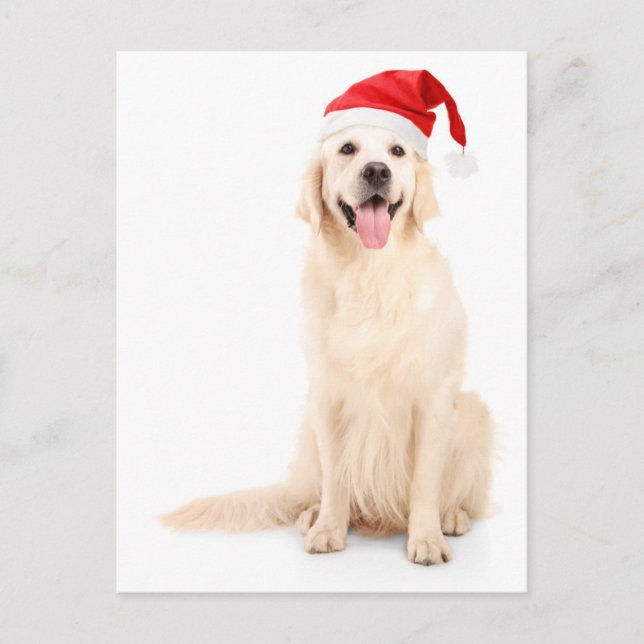 Cartes Pour Fêtes Annuelles Un chien portant un Casquette de Noël (Devant)