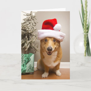 Cartes Pour Fêtes Annuelles Un chien rouge et blanc heureux de corgi de