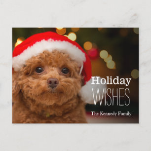 Cartes Pour Fêtes Annuelles Un gros plan, d'un caniche à jouet rouge