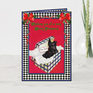 Cartes Pour Fêtes Annuelles Un Noël Schnauzer