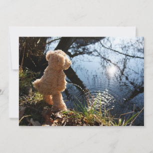 Cartes Pour Fêtes Annuelles Un ours drôle qui fait pipi en plastique.
