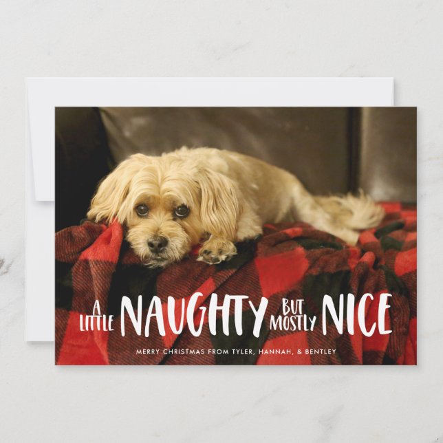 Cartes Pour Fêtes Annuelles Un Petit Coquin | Photo (Devant)