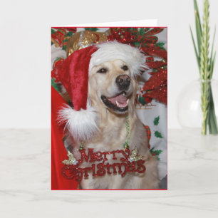 Cartes Pour Fêtes Annuelles Un très heureux "Christmas" Golden Retriever