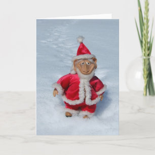 CARTES POUR FÊTES ANNUELLES UN TRÈS VIEUX FELF JOLLY.
