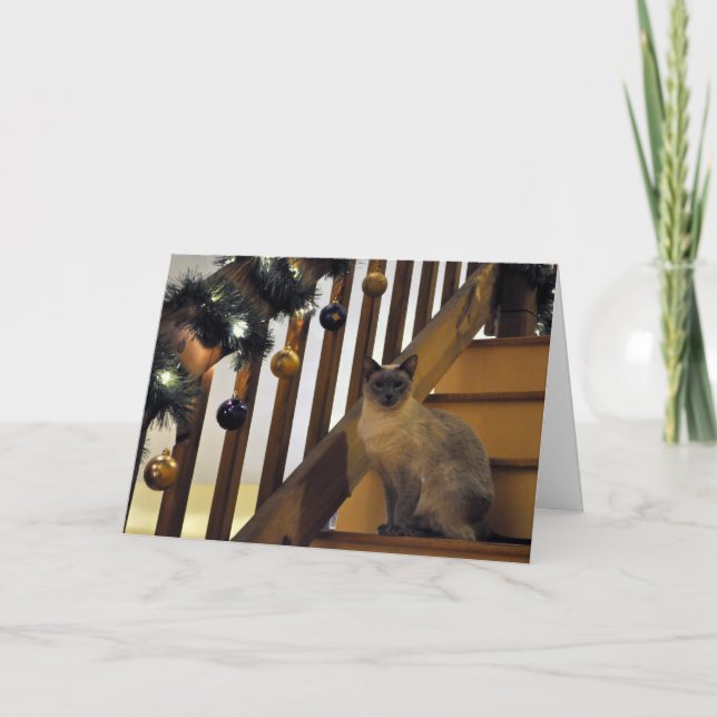 Cartes Pour Fêtes Annuelles Vacances 2 siamois (Devant)
