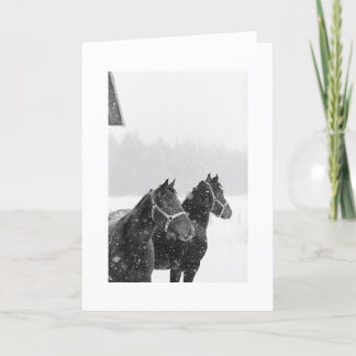 Cartes Pour Fêtes Annuelles Vacances Chevaux de Neige Noël Equine Noël