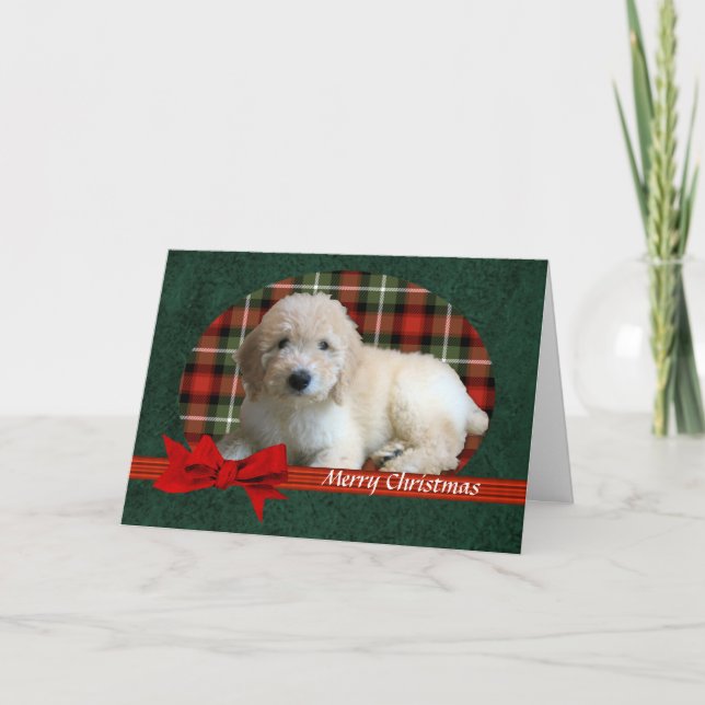 Cartes Pour Fêtes Annuelles Vacances de Noël de GoldenDoodle personnalisables (Devant)