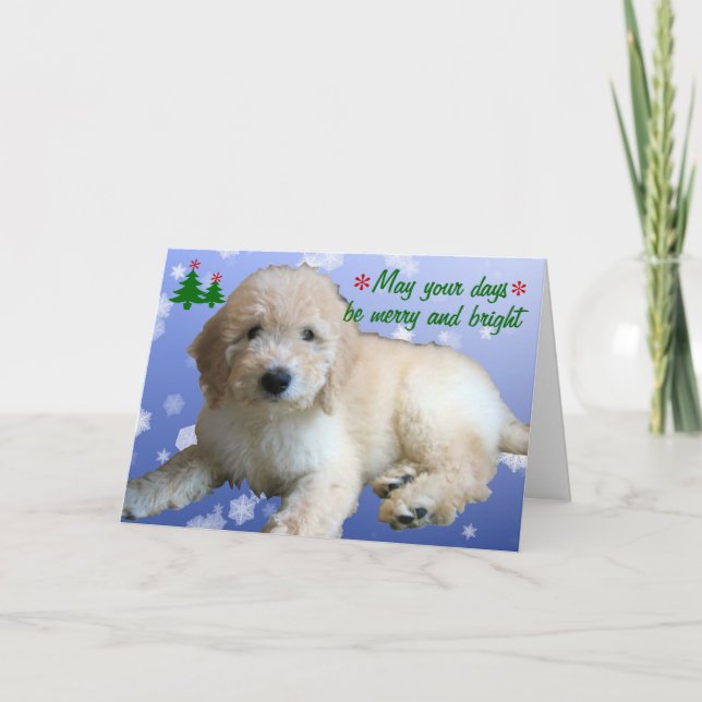 Cartes Pour Fêtes Annuelles Vacances d'or blanches de Noël de griffonnage (Devant)