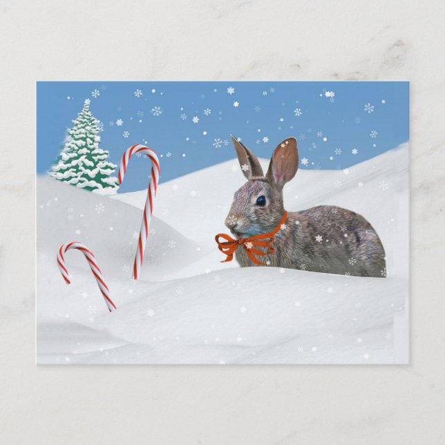 Cartes Pour Fêtes Annuelles Vacances, Lapin Lapin en Neige (Devant)