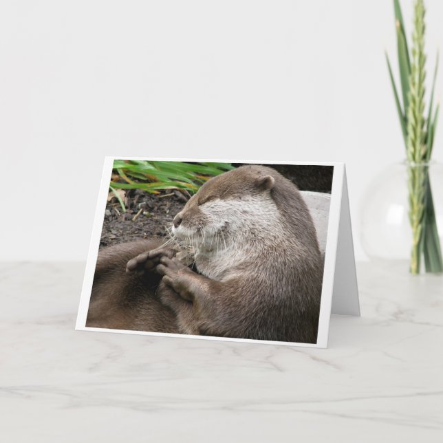 Cartes Pour Fêtes Annuelles vacances Loutre-LY extraordinaires (Devant)