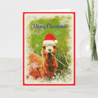 Cartes Pour Fêtes Annuelles Vacances "Mona the Camel"