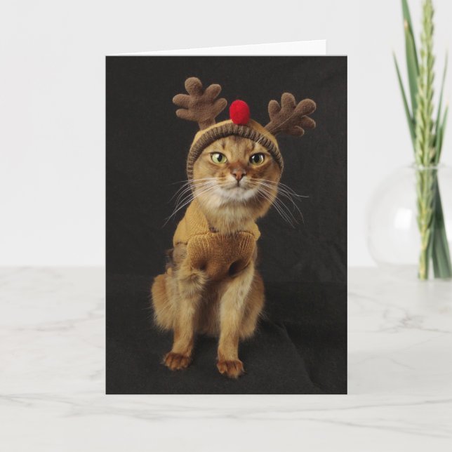 Cartes Pour Fêtes Annuelles Vacances somaliennes de chat de jeux de renne (Devant)