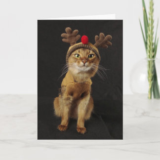 Cartes Pour Fêtes Annuelles Vacances somaliennes de chat de jeux de renne