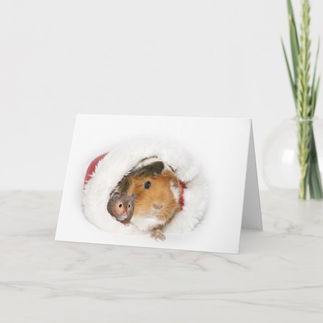 Cartes Pour Fêtes Annuelles Vacances Tranquilles (Devant)