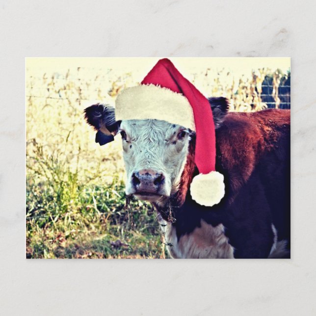 Cartes Pour Fêtes Annuelles Vache à MOO de vacances (Devant)