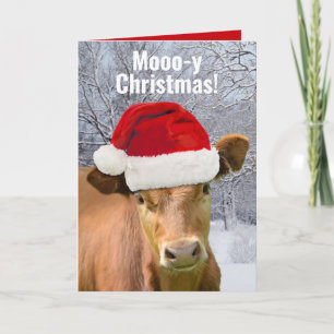 Cartes Pour Fêtes Annuelles Vache en chapeau de Père Noël Mooo-y Noël, Bonne A
