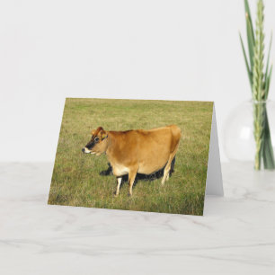 Cartes Pour Fêtes Annuelles Vache Jersey à St John