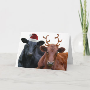 Cartes Pour Fêtes Annuelles Vaches à Noël dans le casquette et des andouillers
