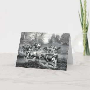 Cartes Pour Fêtes Annuelles Vaches dans les pâturages
