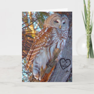 Cartes Pour Fêtes Annuelles Valentin, Romance, Amusant, Chouette d'Humour —ME 