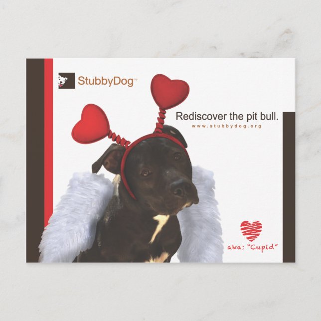 Cartes Pour Fêtes Annuelles Valentin StubbyDog #2 (Devant)