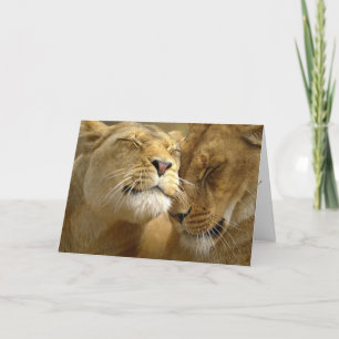 Cartes Pour Fêtes Annuelles Valentine