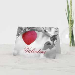 Cartes Pour Fêtes Annuelles Valentine Apple