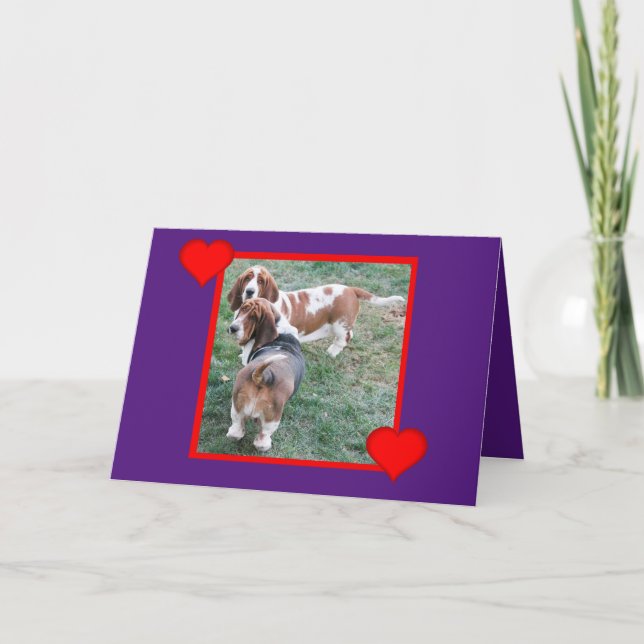 Cartes Pour Fêtes Annuelles Valentine avec de belles et amusantes hounds Basse (Devant)