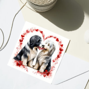 Cartes Pour Fêtes Annuelles Valentine Beared Collie Amour amoureux