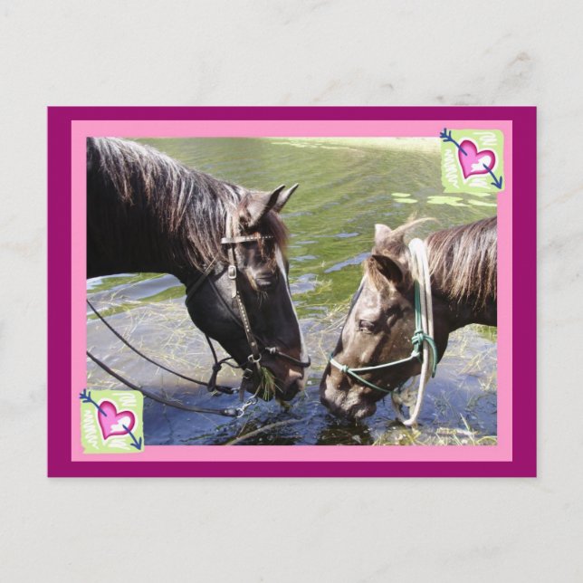 Cartes Pour Fêtes Annuelles Valentine chevalin (Devant)