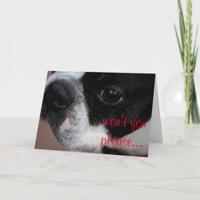Cartes Pour Fêtes Annuelles Valentine de terrier de Boston (Devant)