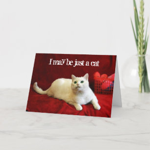 Cartes Pour Fêtes Annuelles Valentine du chat