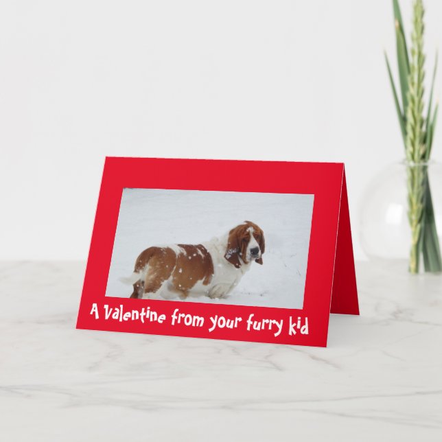 Cartes Pour Fêtes Annuelles Valentine du chien avec Basset Hound (Devant)