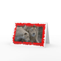 Valentine d'un lion