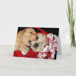 Cartes Pour Fêtes Annuelles Valentine Golden