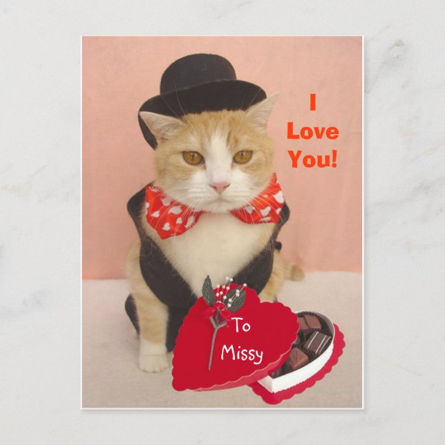Cartes Pour Fêtes Annuelles Valentine Kitty (Devant)
